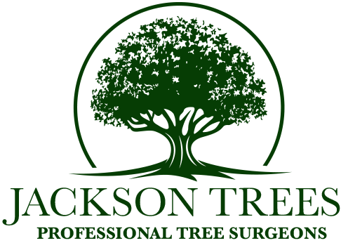 Jackson Tree Services